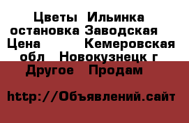 Цветы! Ильинка! остановка Заводская! › Цена ­ 100 - Кемеровская обл., Новокузнецк г. Другое » Продам   